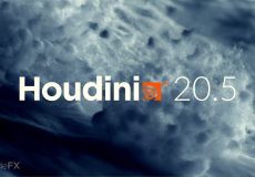 Houdini 20.5